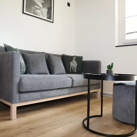 Bergliebe -neu & Modern Inspiring Places Апартаменти Церматт